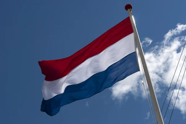 Государственный флаг Голландии — стоковое фото