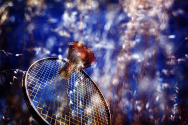 Badminton Action clipart