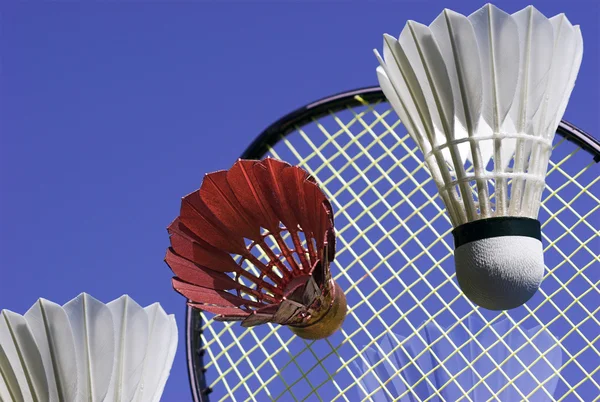 Goldenes Badminton — Stockfoto