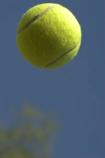 Высокий мяч — стоковое фото