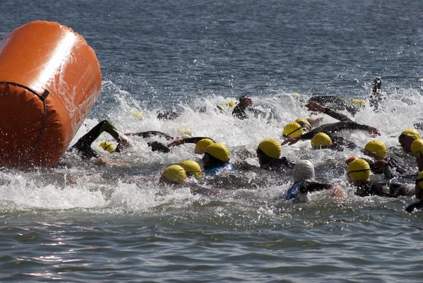 stock image Crawl swimmers