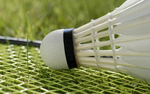 Badminton macro — Fotografia de Stock