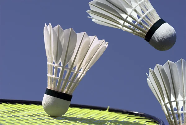 Badminton eylem — Stok fotoğraf