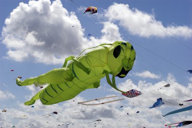 Green Grasshopper Kite clipart