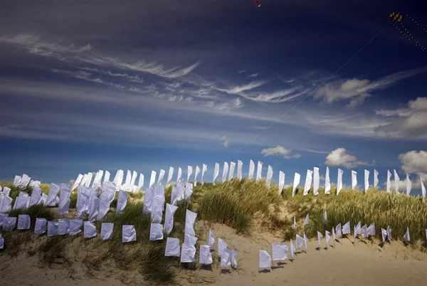 白い旗と砂丘 — ストック写真