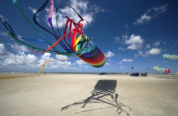 Fly a Kite — Stock Photo, Image