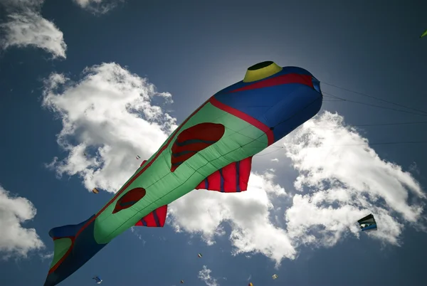Fantasy fisk kite — Stockfoto