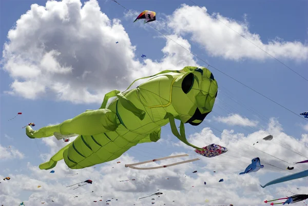 Grön gräshoppa kite — Stockfoto