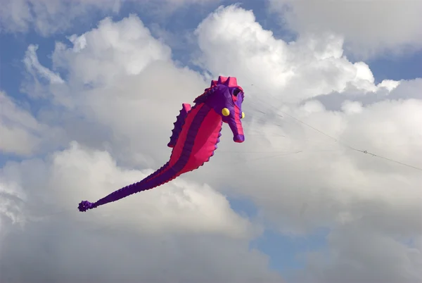 Ιππόκαμπος kite — Φωτογραφία Αρχείου