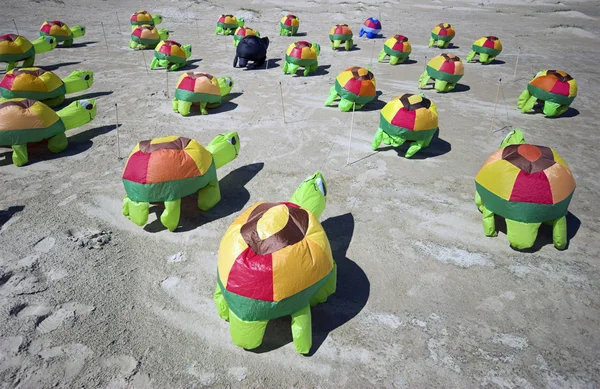 Turtle drakar på sand — Stockfoto