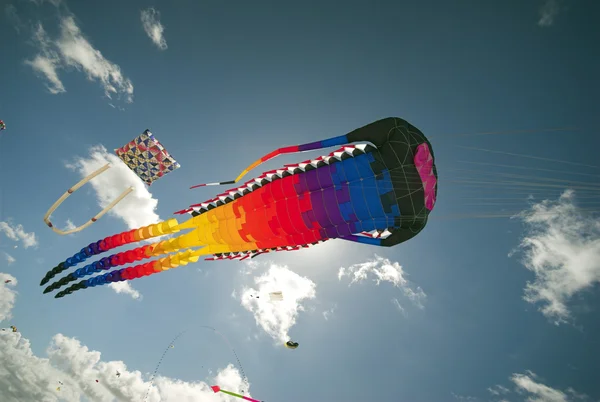 Δράση άθλημα του kite Royalty Free Εικόνες Αρχείου