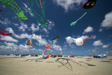 Kites all over the beach clipart