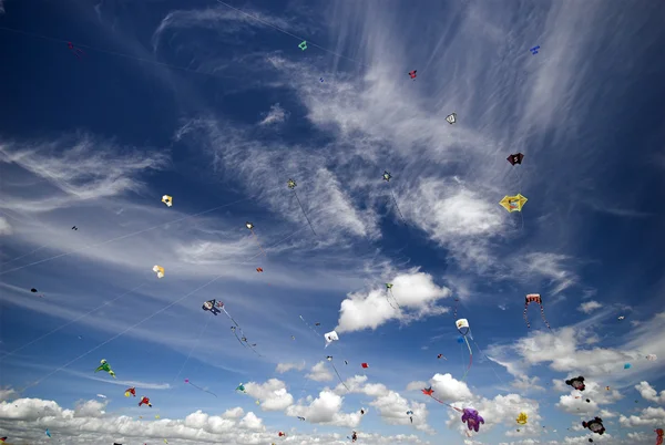 Kites All Over — Stock Photo, Image