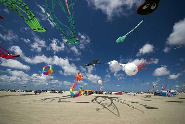 Kites all over the beach