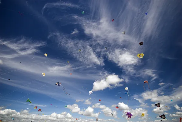 すべてをかけて凧 ロイヤリティフリーのストック写真