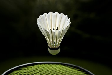 Kaz tüyü badminton