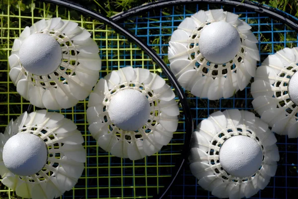 Close-Up Badminton — Stockfoto