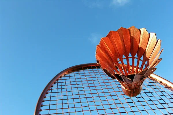 Akcja badmintona — Zdjęcie stockowe