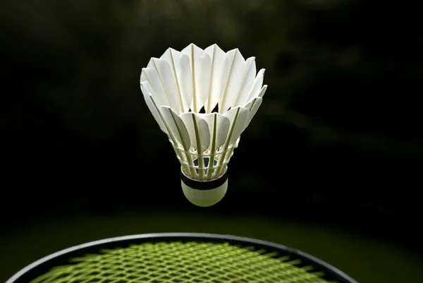 Gęsie pióro badmintona — Zdjęcie stockowe
