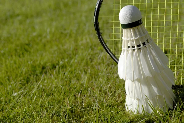Grama e badminton — Fotografia de Stock