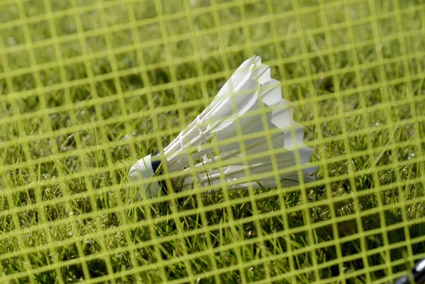 Badmintonbollen och stråkar — Stockfoto