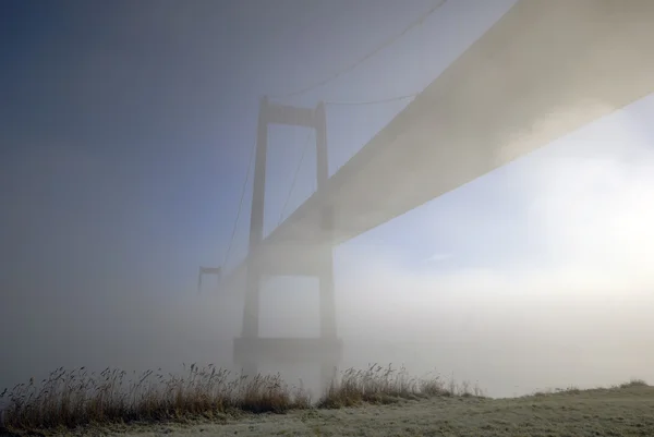 Туман и мост — стоковое фото
