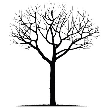 Bare tree clipart