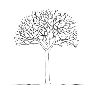 Bare tree clipart