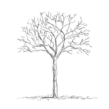 Bare tree clipart