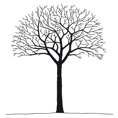 Bare tree clipart