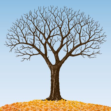 Bare tree clipart