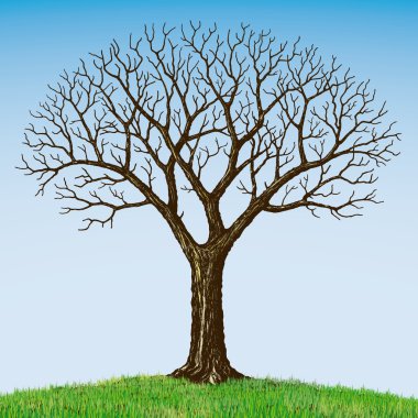 Bare tree clipart