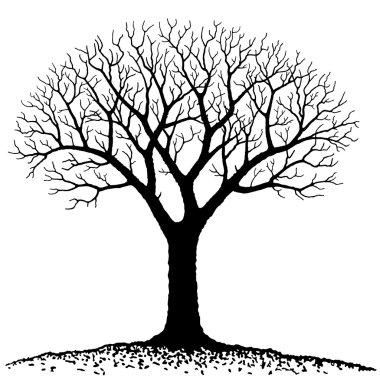 Bare tree clipart