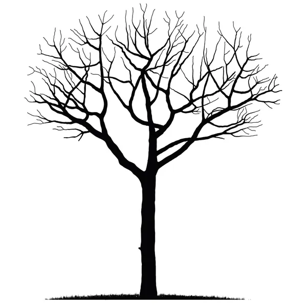Bare tree Vector Art Stock Images | Depositphotos