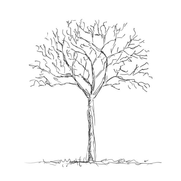 Голое дерево — стоковый вектор
