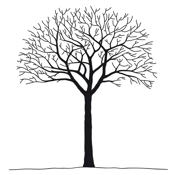 Çıplak ağaca — Stok Vektör