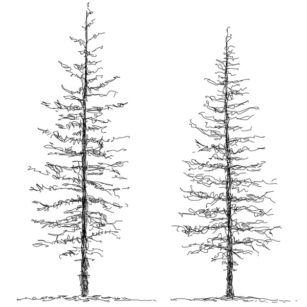Két fa. — Stock Vector