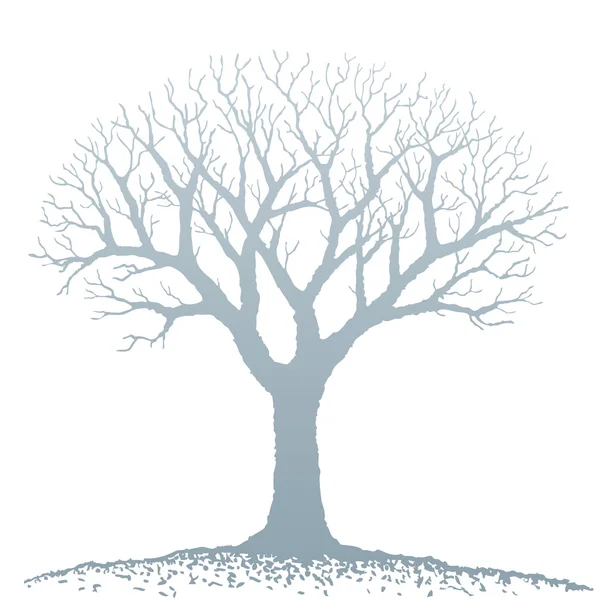 Gołe drzewa — Wektor stockowy