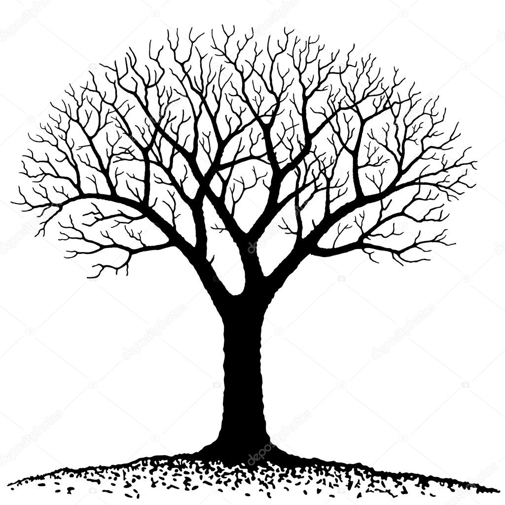 Bare tree Stock Vector Image by ©robodread #11217625