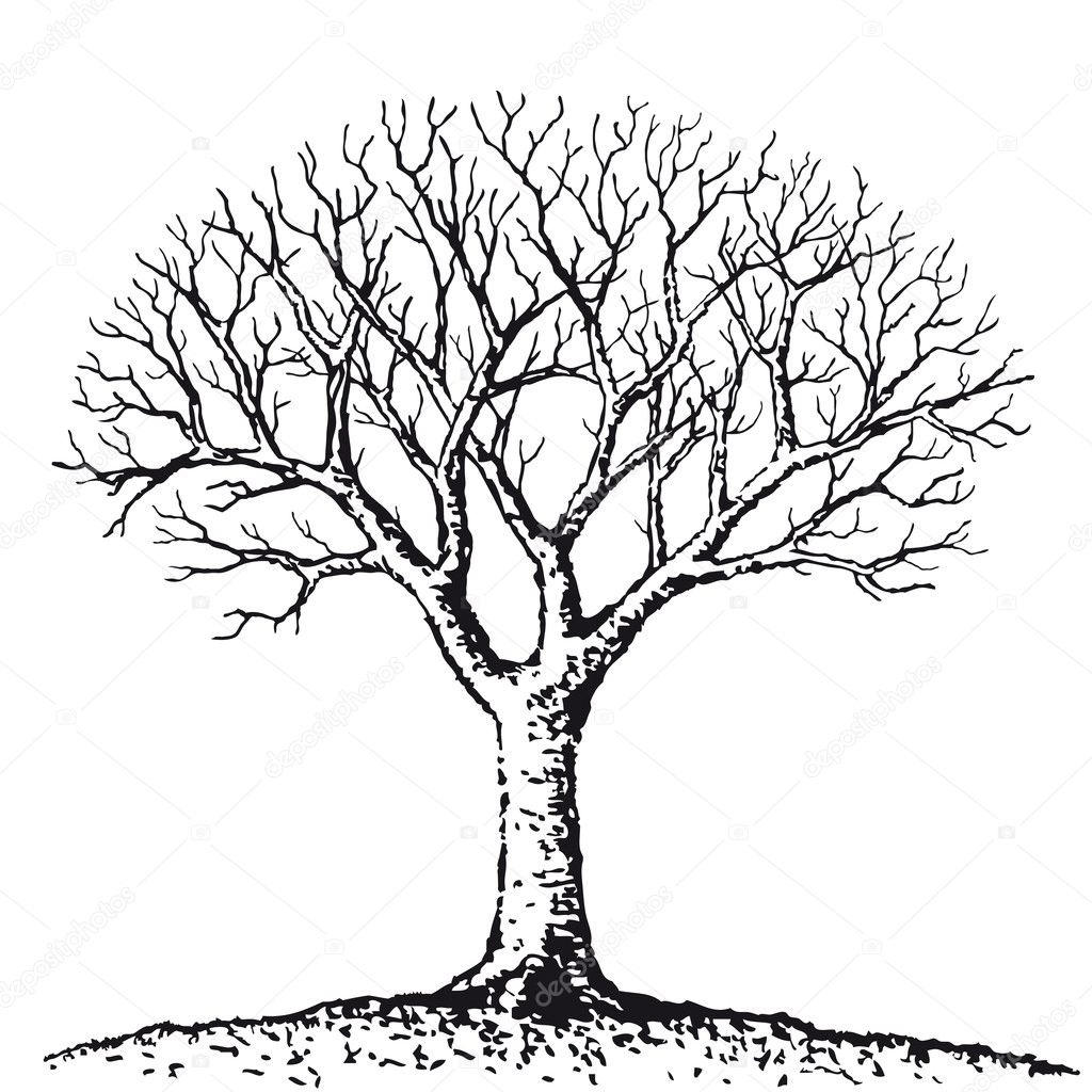 Bare tree