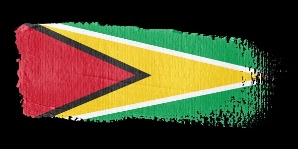 Прапор мазком Гайана — стокове фото