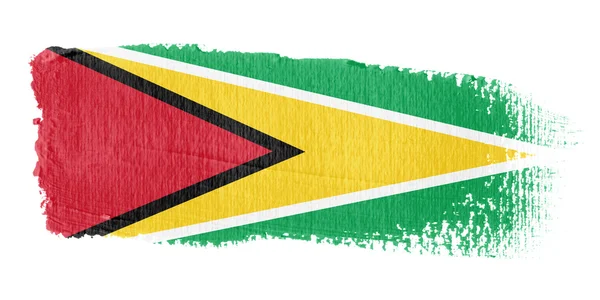 Pincelada Bandera Guyana —  Fotos de Stock