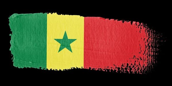 Сенегал с флагом кисти — стоковое фото