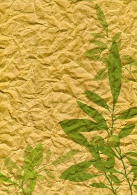 yaprakları ile arka plan