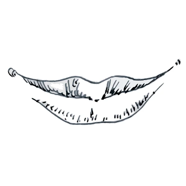 Desenho bucal — Vetor de Stock