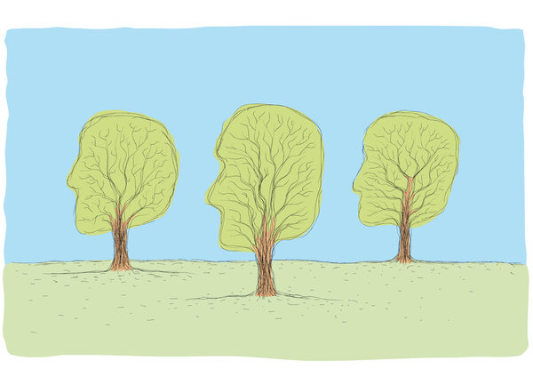 Древесная голова
