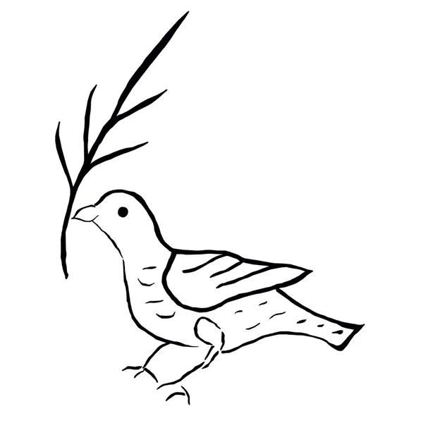 和平之鸽 — 图库矢量图片