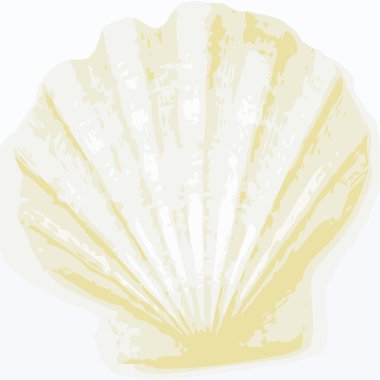 Shell background clipart