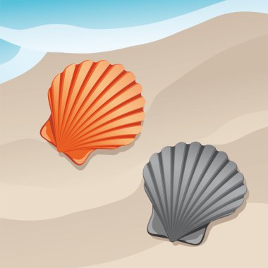 A shell clipart