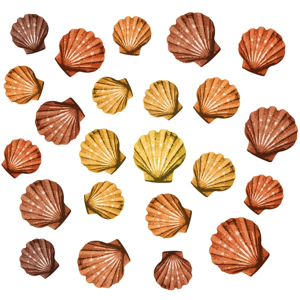 Shells background — Stock Vector